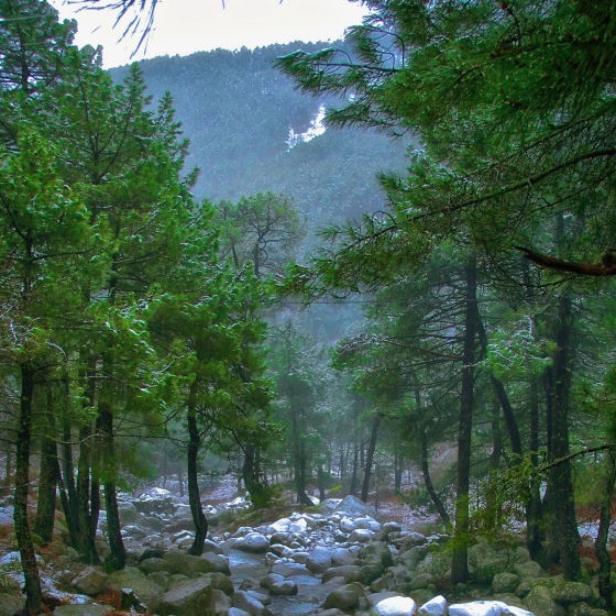 Casa rural en el casco antiguo de Arenas de San Pedro