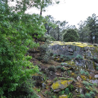 Casa rural en el casco antiguo de Arenas de San Pedro