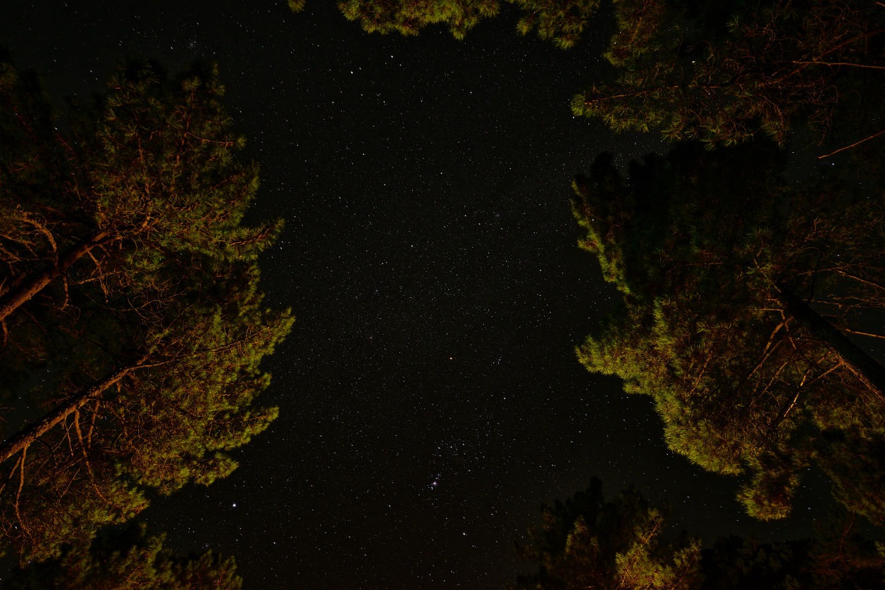 Visión del cielo estrellado en Arenas de San Pedro